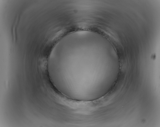 X0000091370036200708171554