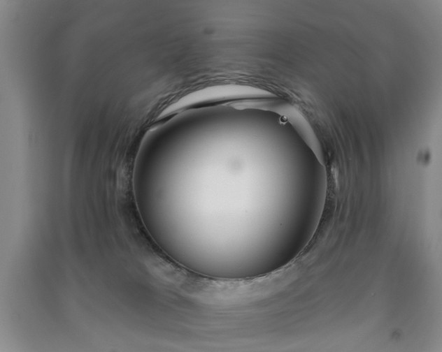 X0000091370037200708171554