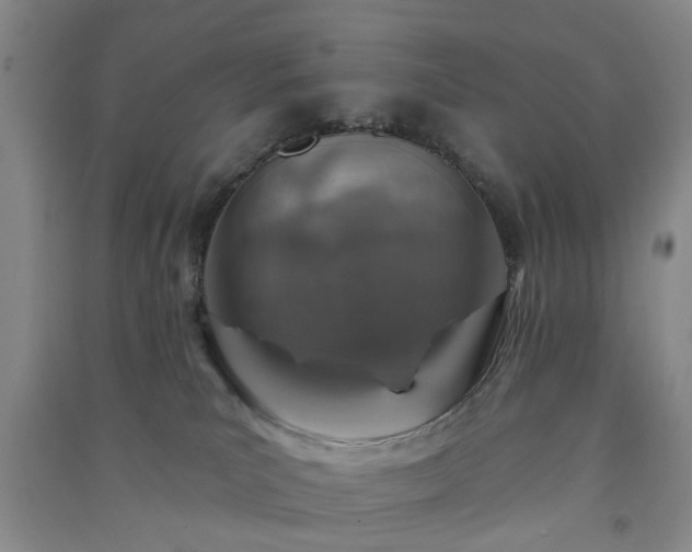 X0000091370039200708171554