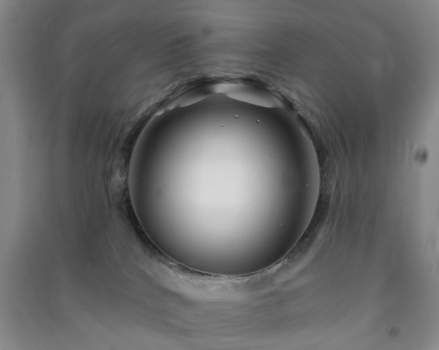 X0000091370040200708171554