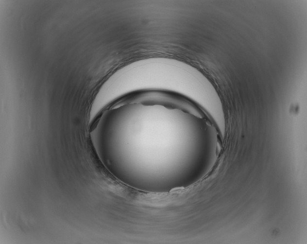 X0000091370041200708171554