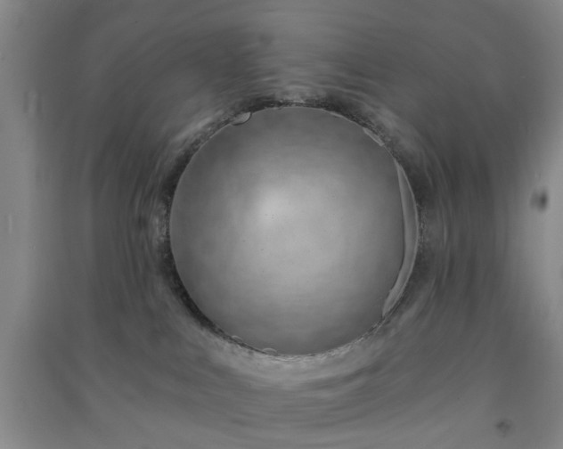 X0000091370043200708171554