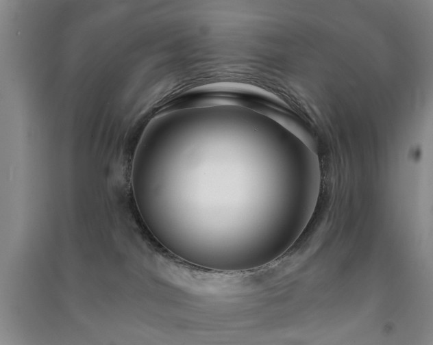 X0000091370044200708171554