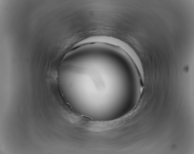 X0000091370045200708171554