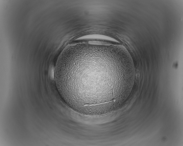 X0000091370046200708171554