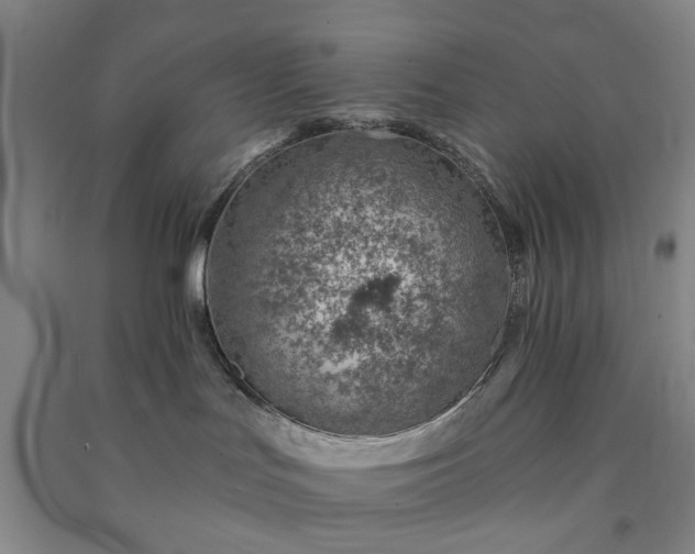 X0000091370047200708171554