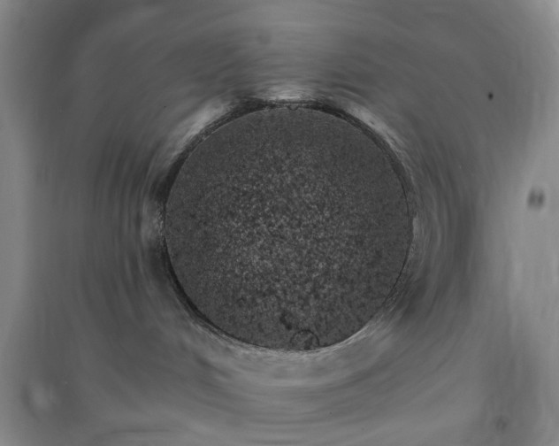 X0000091370048200708171554