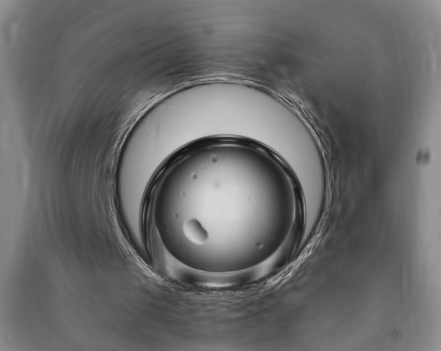 X0000091370049200708171553