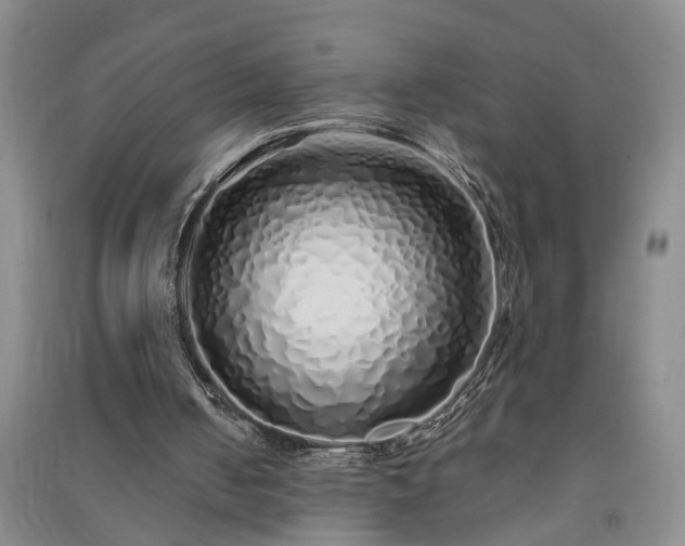 X0000091370050200708171553