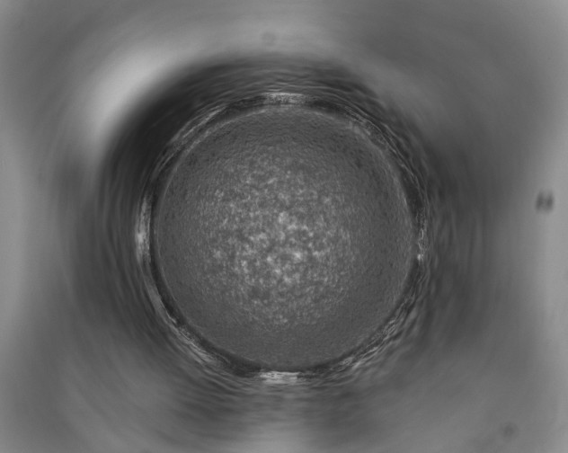 X0000091370052200708171553