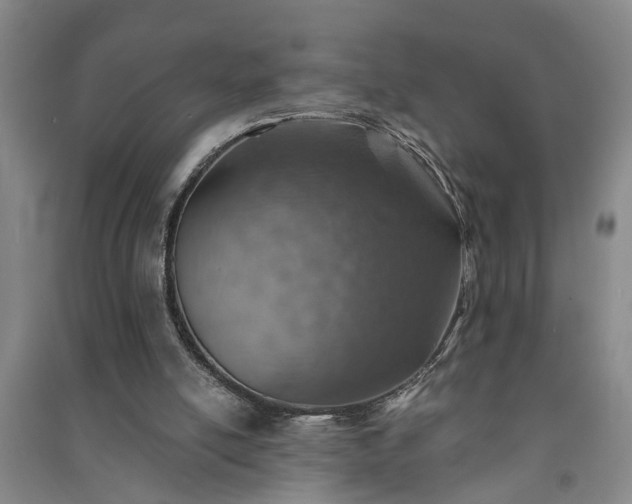 X0000091370054200708171553