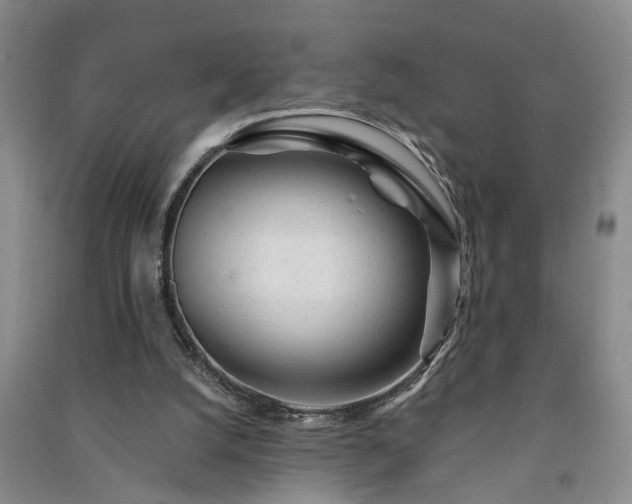 X0000091370056200708171553