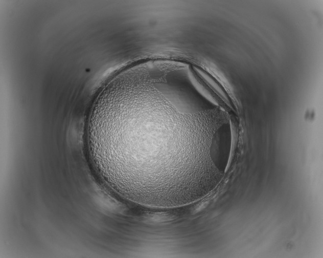 X0000091370058200708171553