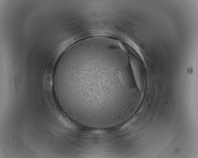 X0000091370059200708171553