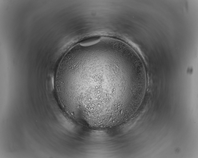 X0000091370061200708171553