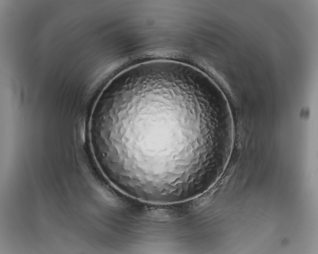 X0000091370062200708171553