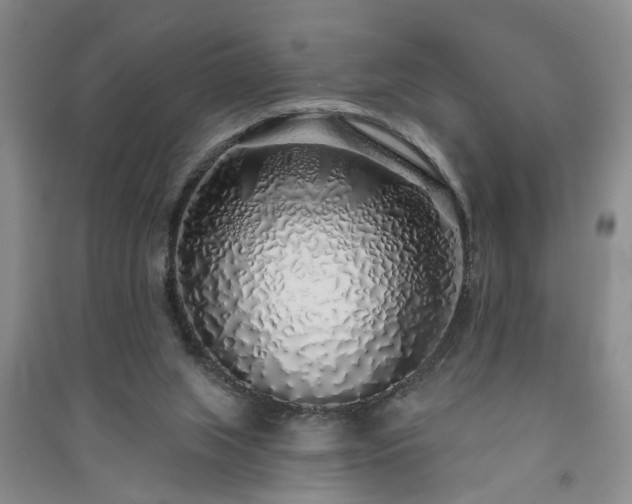 X0000091370063200708171553