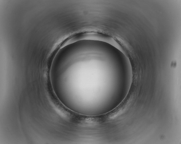 X0000091370064200708171553