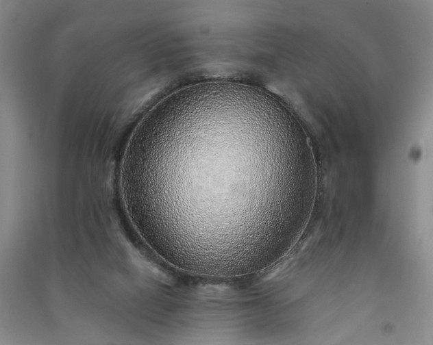 X0000091370066200708171553