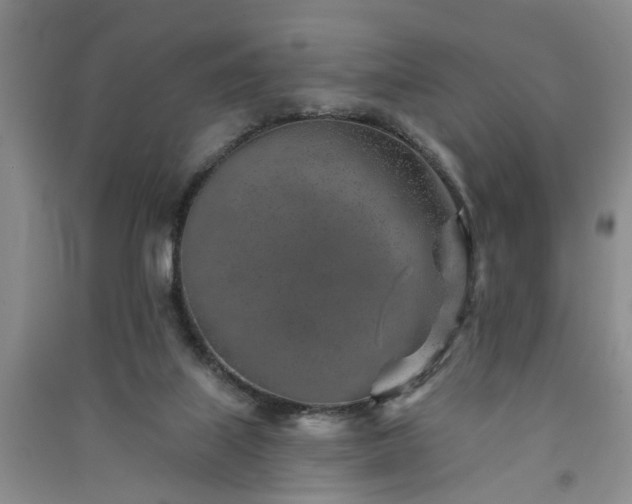 X0000091370067200708171553