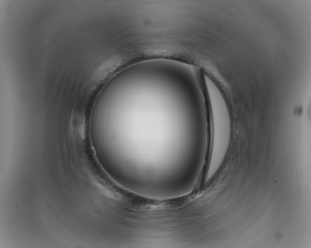 X0000091370068200708171553