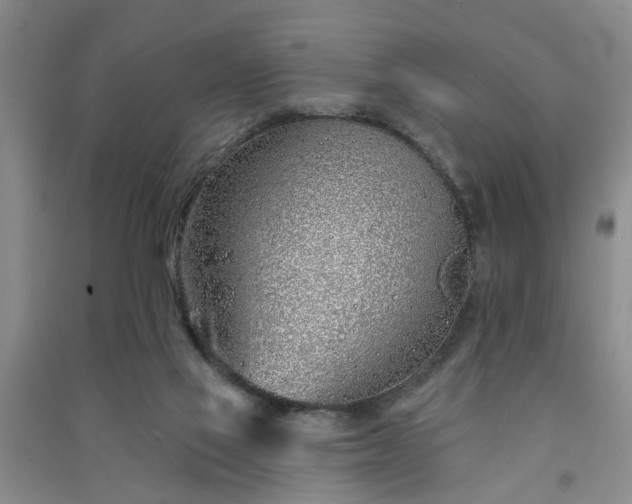 X0000091370069200708171553