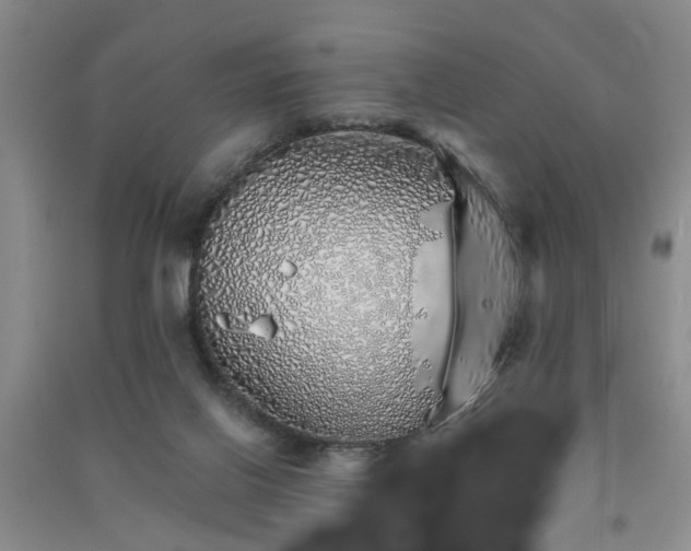 X0000091370070200708171554