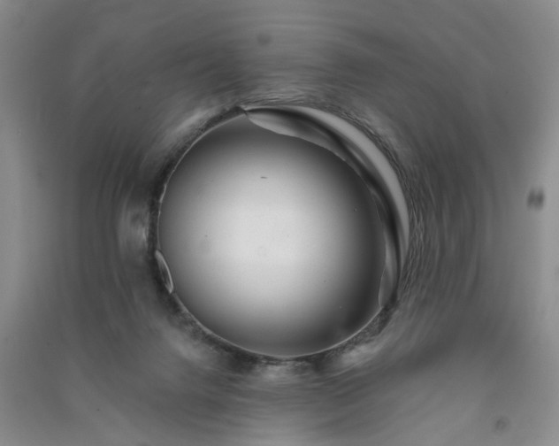 X0000091370072200708171554