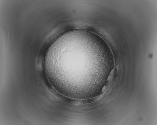 X0000091370074200708171554