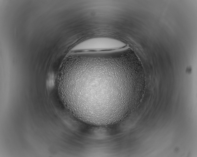 X0000091370075200708171554