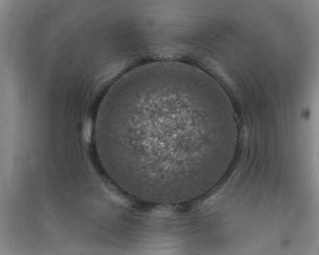 X0000091370076200708171554