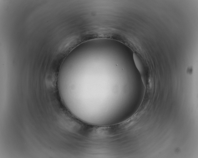 X0000091370078200708171554