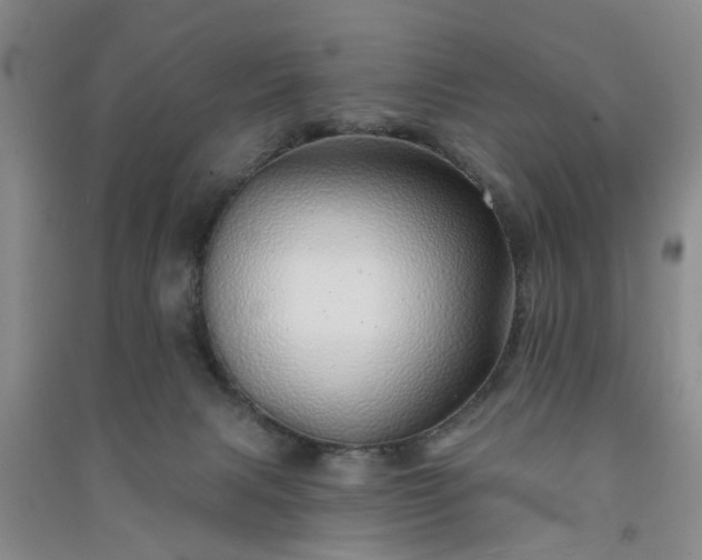 X0000091370079200708171554