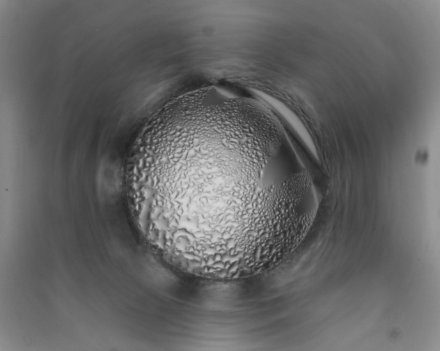 X0000091370081200708171554