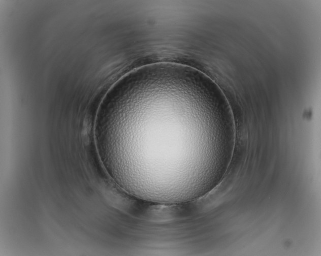 X0000091370082200708171554