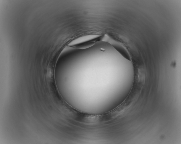 X0000091370084200708171554