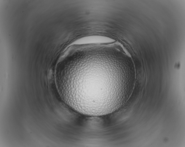 X0000091370087200708171554