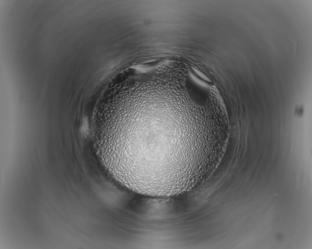 X0000091370089200708171554