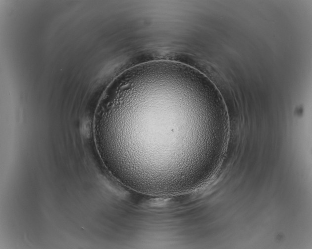 X0000091370090200708171554