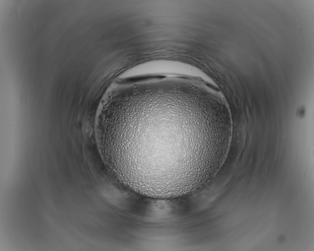 X0000091370091200708171554