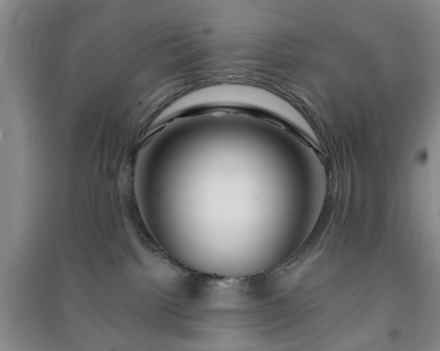 X0000091370092200708171554