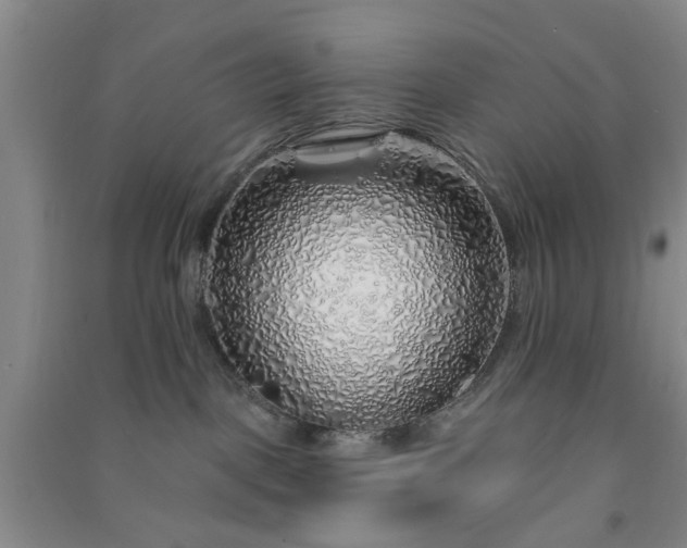 X0000091370093200708171554