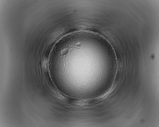 X0000091370094200708171554