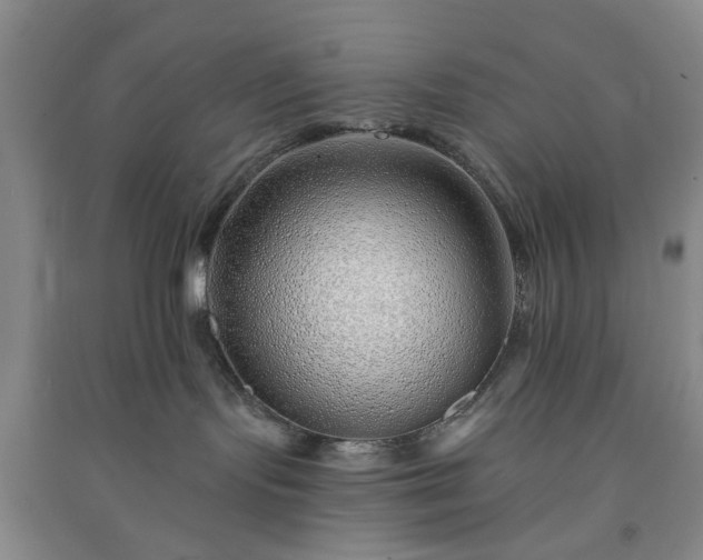 X0000091370095200708171554