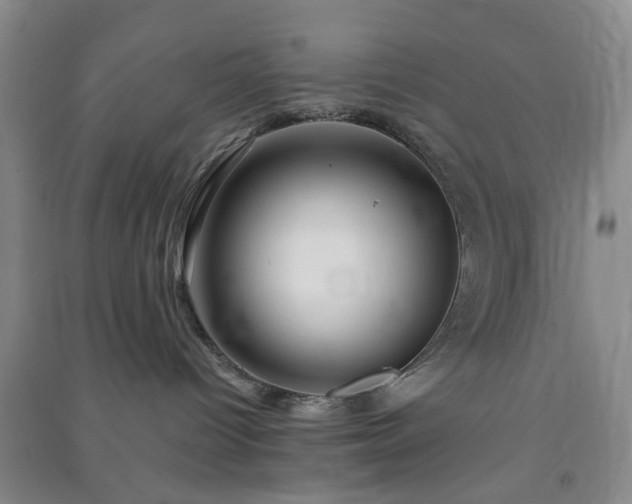 X0000091370096200708171554