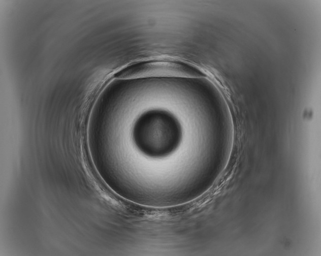 X0000091370097200708171553