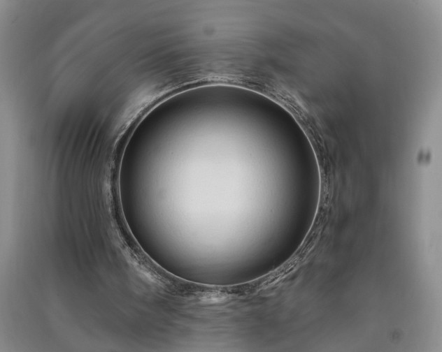 X0000091370098200708171553