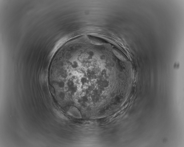 X0000091370099200708171553