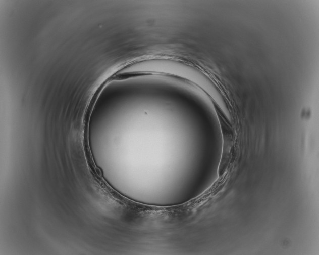 X0000091370100200708171553