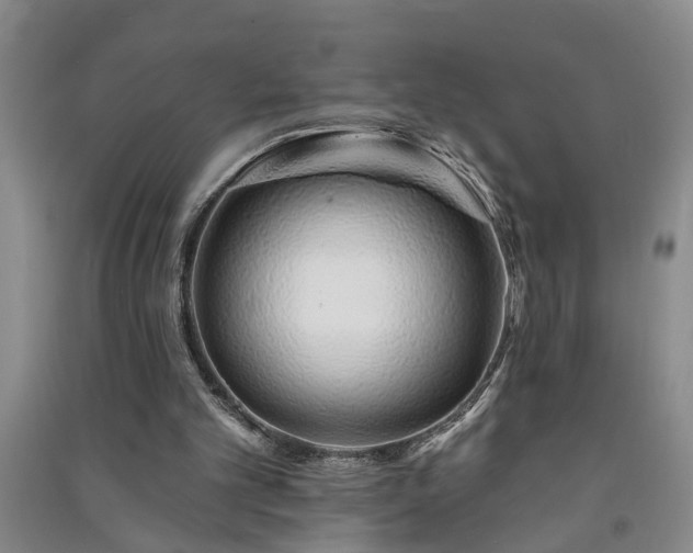 X0000091370101200708171553